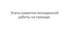 Этапы развития молодежной работы на приходе