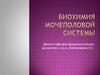 Биохимия мочеполовой системы
