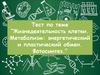 Тест. Жизнедеятельность клетки. Метаболизм: энергетический и пластический обмен. Фотосинтез
