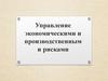 Управление экономическими и производственными рисками