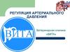 Регуляция артериального давления. Ветеринарная клиника «ВИТА»