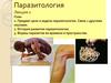 Паразитология