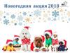 Федеральная трейд-маркетинговая акция «Новый год 2018»