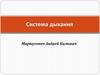 Система дыхания