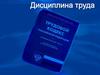 Дисциплина труда