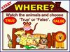 Watch the animals and choose true ‘true’ or ‘false’