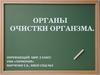 Органы очистки органзма. (Окружающий мир, 3 класс)
