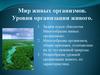 Мир живых организмов. Уровни организации живого