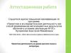 Аттестационная работа. Проектная деятельность на уроках русского языка и литературы