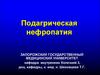 Подагрическая нефропатия