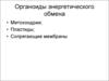 Энергообразующие органоиды (лекция 7)