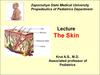 Functions of the skin