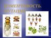 Изменчивость. Мутации