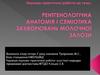 Рентенологічна анатомія і семіотика захварювань молочної залози