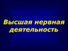 Высшая нервная деятельность