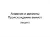 Анамнии и амниоты. Происхождение амниот