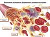 Биохимия основных форменных элементов крови