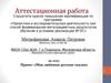 Аттестационная работа. Проект «Мои любимые русские сказки»