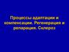 Процессы адаптации и компенсации. Регенерация и репарация. Склероз