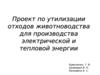 Утилизация отходов животноводства для производства электрической и тепловой энергии