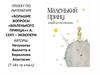 Большие вопросы «Маленького принца»