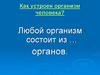 Как устроен организм человека