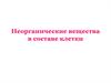 Неорганические вещества в составе клетки