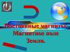 Постоянные магниты. Магнитное поле Земли