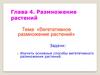 Вегетативное размножение растений