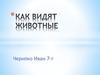 Как видят животные