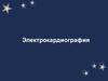 Электрокардиография. Проводящая система сердца