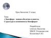 Биосфера - живая оболочка планеты. Структура и компоненты биосферы