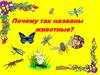 Почему так названы животные