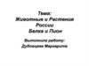 Животные и растения России. Белка и пион