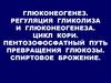 Глюконеогенез. Регуляция гликолиза и глюконеогенеза. Цикл кори. Пентозофосфатный путь превращения глюкозы. Спиртовое брожение