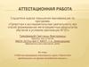 Аттестационная работа. Рабочая программа элективного курса «Проектная деятельность на уроках английского языка»