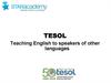 Программа обучения, сертификации и трудоустройства TESOL
