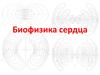 Биофизика сердца. Работа и мощность сердца. Миокард