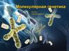 Молекулярная генетика