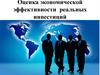 Оценка экономической эффективности реальных инвестиций