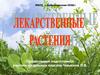 Лекарственные растения