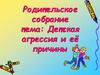 Родительское собрание. Детская агрессия и ее причины