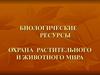 Биологические ресурсы. Охрана растительного и животного мира