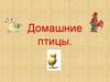 Домашние птицы. Для дошкольников