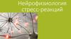 Нейрофизиология стресс-реакций