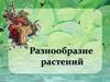 Разнообразие растений