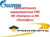 Сравнительная характеристика ТНК НК «Газпром» и НК «Роснефть»