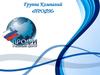 Группа Компаний «ПРОФИ»