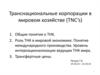 Транснациональные корпорации в мировом хозяйстве (TNC’s)