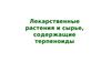 Лекарственные растения и сырье, содержащие терпеноиды